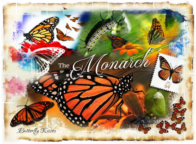jad_art_monarch_butterfly